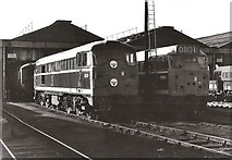 SE5701 : Diesel locomotives at Doncaster shed by Roger Cornfoot