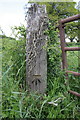 Benchmarked wooden gatepost on Bramper Lane