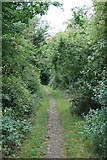 TQ0551 : Footpath from East to West Clandon by Hugh Craddock