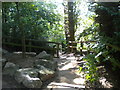 Steps to the Trent near Hallow Well