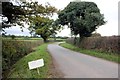 Dog Lane near Oldcastle Heath