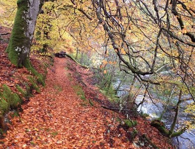 NH3101 : Path along the River Garry by Steven Brown