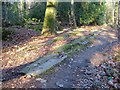 Granite tramway, Colehays Plantation