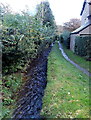 Ashbrook stream flows away from Shrewsbury Road, Church Stretton