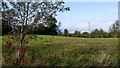 Pastoral scene north of the A456