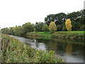 The River Wye near Hereford