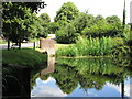 Pond reflections near to Little Missenden