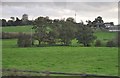 Newcastle-under-Lyme District : Grassy Field