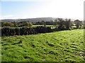 Castleroddy Glebe Townland