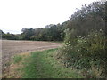 Footpath at Ling Close Wood