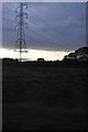 Cheshire East : Grassy Field & Pylon