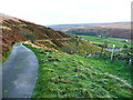 The Colne Valley Circular Walk