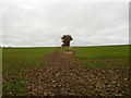 Public footpath to Ecton