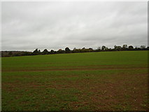 SP8263 : Farmland near Ecton by Burgess Von Thunen