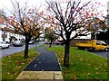 Autumnal at Orangefield Park, Omagh