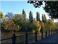 Railings on The Thames at Abingdon