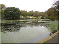 Queens Park Pond