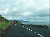 D3314 : Cyclist riding north along the A2 (Antrim Coast Road) south of Mc Auley's Head by Eric Jones