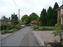 TL2213 : Dognell Green, Welwyn Garden City by Christine Johnstone