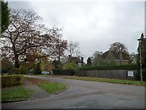 TL2213 : High Oaks Road, Welwyn Garden City [1] by Christine Johnstone