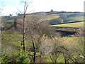 Across the Liverton Brook valley