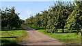 Cider apple orchards