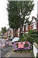 Storm Damage on Weston Road