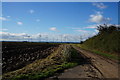 Low Gate Road towards Conisholme Fen