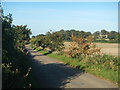 Road Beside the Railway at Buston Barns