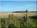 Footpath to Mill Cottage