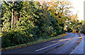 J4668 : The Ballydrain Road, Comber (2) by Albert Bridge