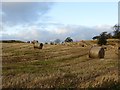 Round bales, Pettinain