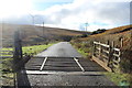 Cattle Grid on the Road to Barr near Delamford