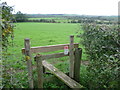 Footpath near Mount Castle Farm