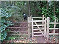 Gat Fochyn Park Wood kissing Gate