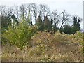 Oasts at Manor Farm seen from the Saxon Shore Way