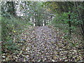 Track - Leadwell Lane