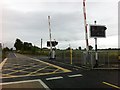 M9260 : Rail crossing on L1806 by Darrin Antrobus