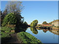 Canal near Mexborough station