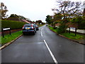 Looking into Nore Farm Avenue from Selangor Avenue