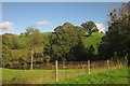 Mill Leat valley from A38