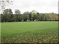 Playing Fields - Riverdale Road