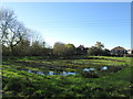 Pond at Ravenfield Grange