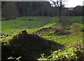 Former mill leat, Tiddy valley