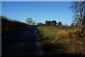 Sand Lane near New Farm, East Yorkshire