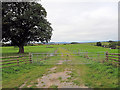 SO5258 : Farm track south of Widgeon Hill by Stuart Logan