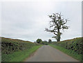 Un-named lane north of Docklow Slade