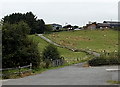 Access road to Caergynant Farm near Llanddewi Ystradenni