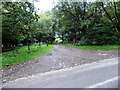 Track into woodland near Llanddewi Ystradenni