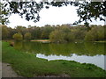 Pond at Burgh Heath